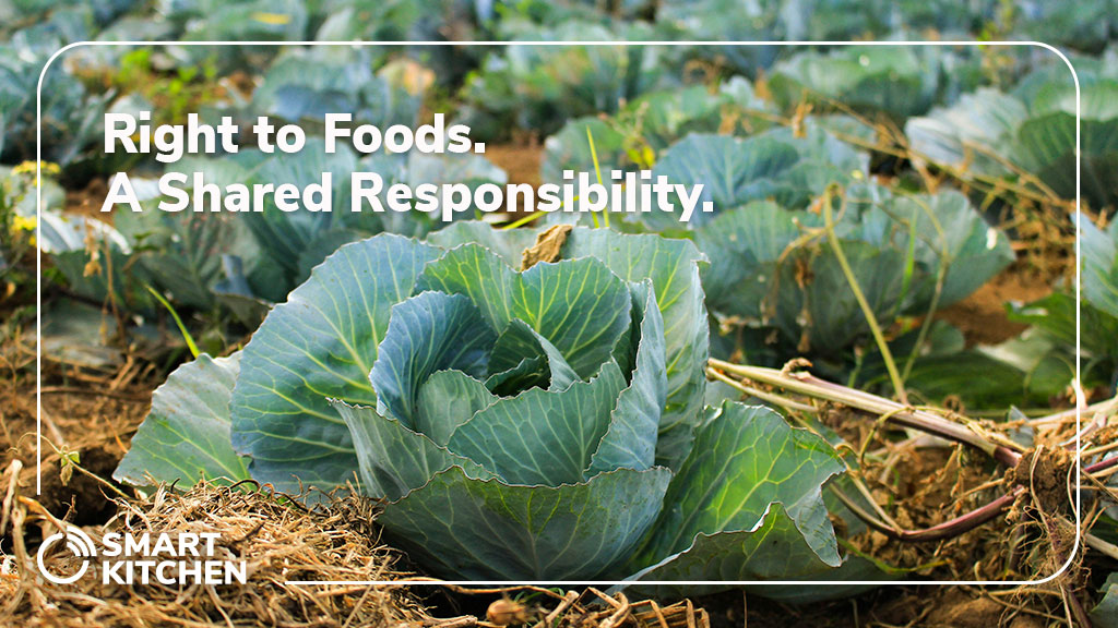 Right to Foods. A Shared Responsibility,